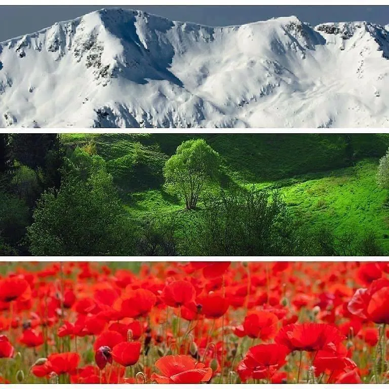 Appartamento Апартаменти Ковачева-2 Bansko